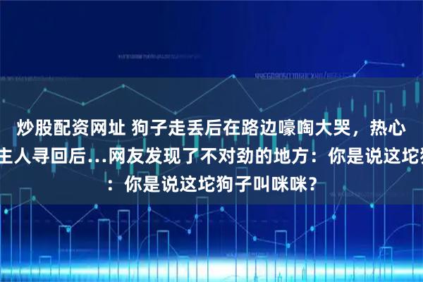 炒股配资网址 狗子走丢后在路边嚎啕大哭，热心网友报警让主人寻回后…网友发现了不对劲的地方：你是说这坨狗子叫咪咪？