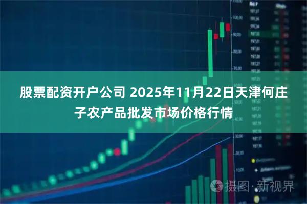 股票配资开户公司 2025年11月22日天津何庄子农产品批发市场价格行情