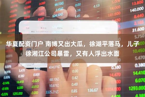 华夏配资门户 南博又出大瓜，徐湖平落马，儿子徐湘江公司暴雷，又有人浮出水面